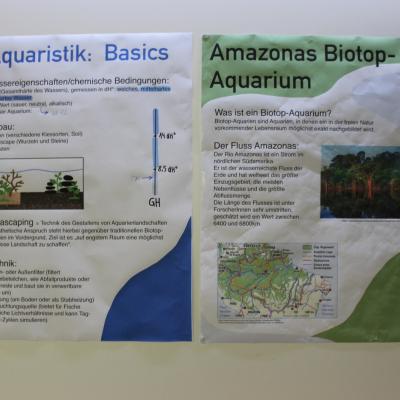 Plakate zur Aquarien-Konzeption
