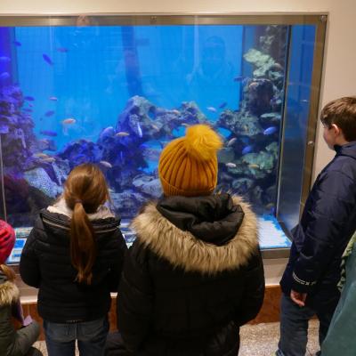 Stadtbad-Aquarium
