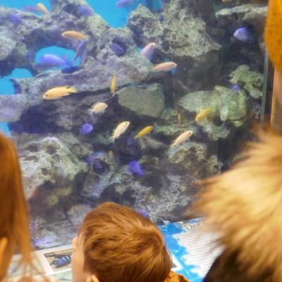am Stadtbad-Aquarium