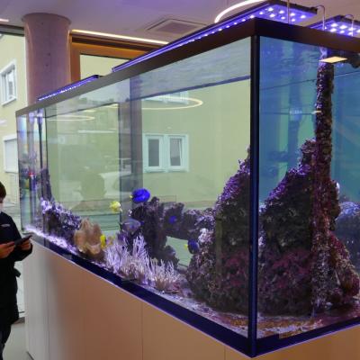 Aquarium im Dentalzentrum