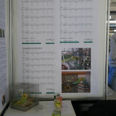 Plakat 2