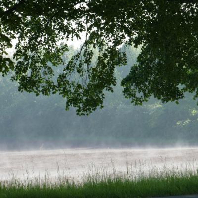 Nebel überm Acker