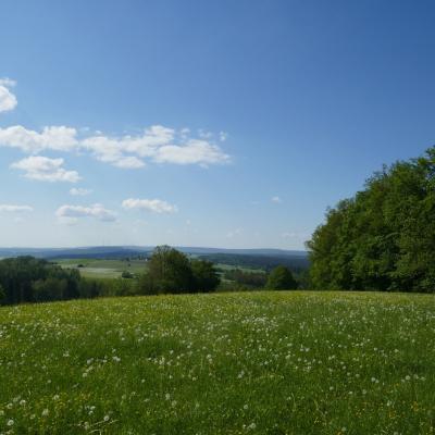 oberhalb Schamelsberg