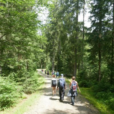 Wandergruppe