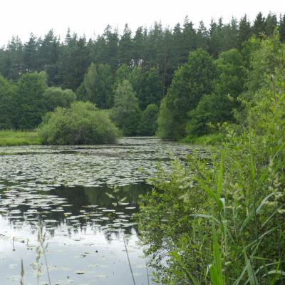 Eger-Teiche