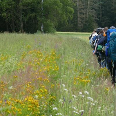 Wandergruppe