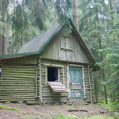 Haus im Wald