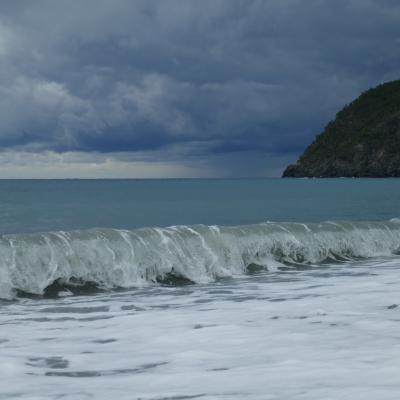 Levanto
