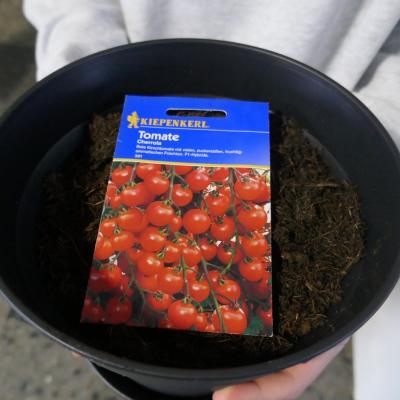 Blumentopf