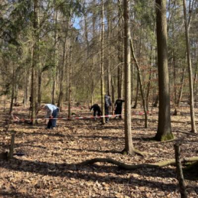 Waldbesuch