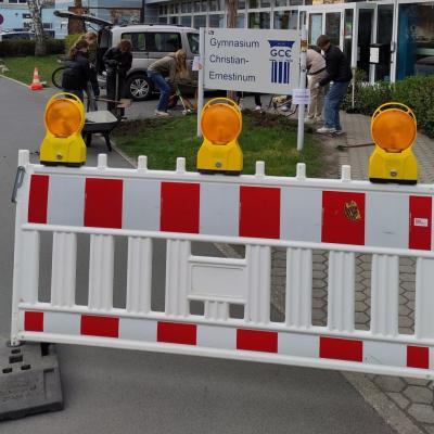 Blühflächengestaltung