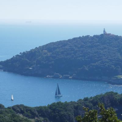 Insel hinter Palmaria