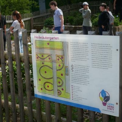 Heilkräutergarten