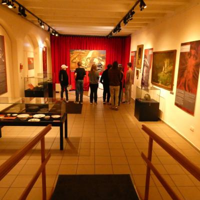 Drachen-Ausstellung