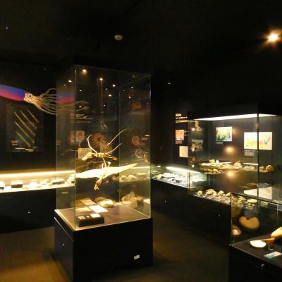 Urwelt-Museum