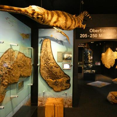 Urwelt-Museum