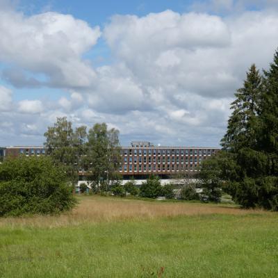 Sportcamp