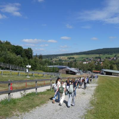 Alpine Coaster
