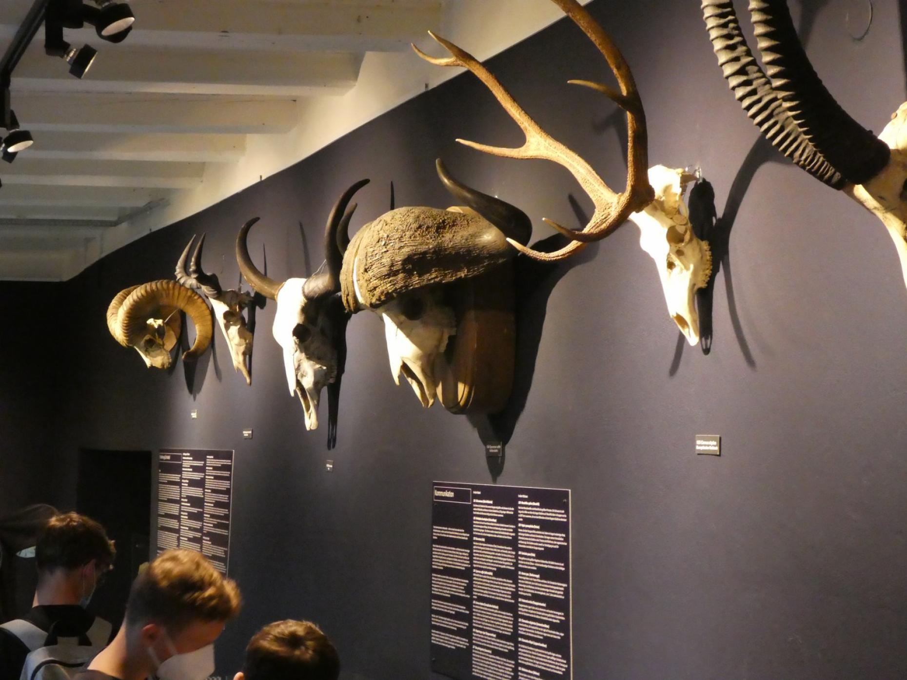 Museum
