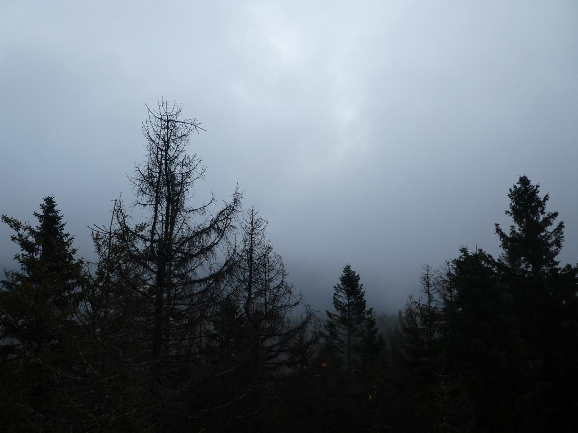 Der Berg ruft...