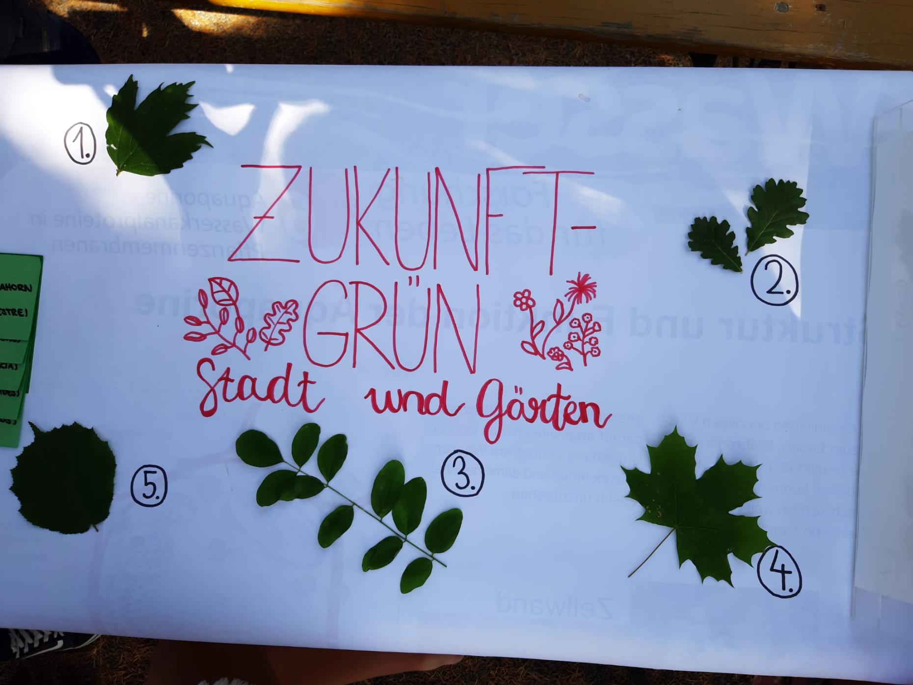 Bild