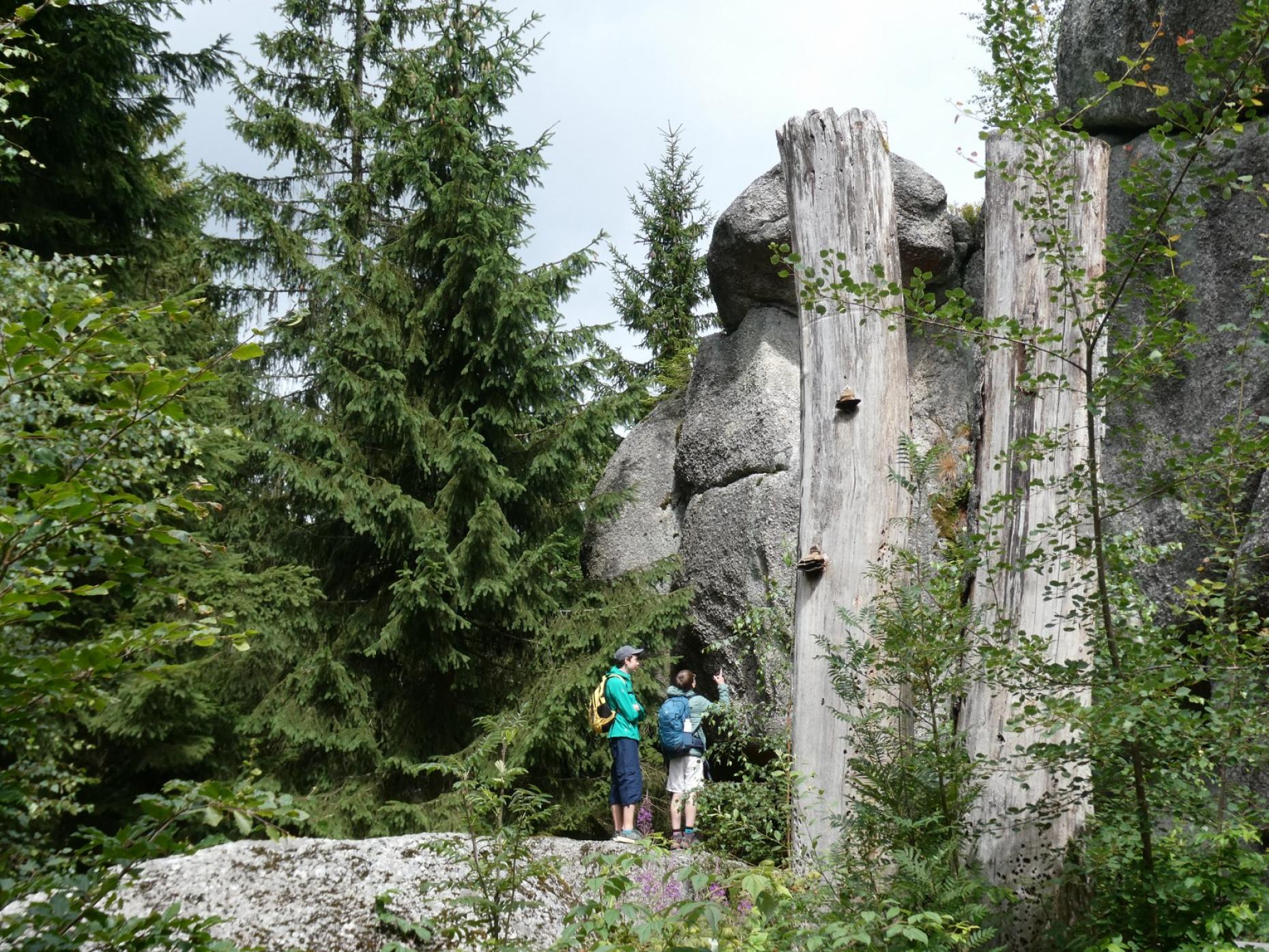 Am Weißmainfelsen
