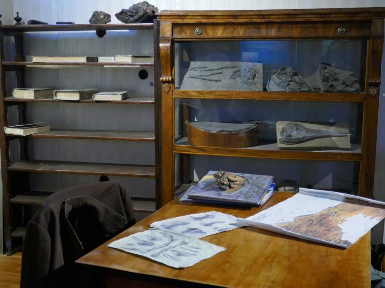 Urwelt-Museum