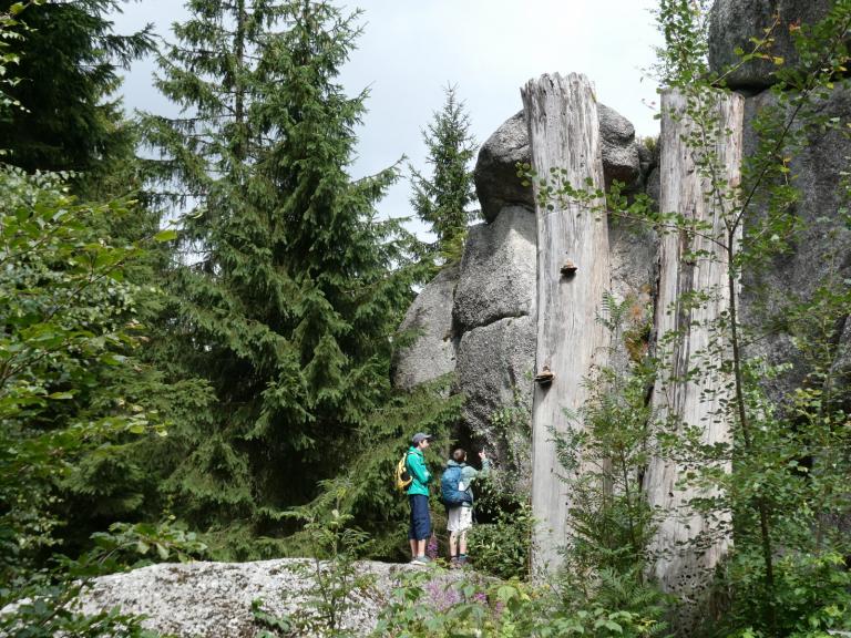 Am Weißmainfelsen